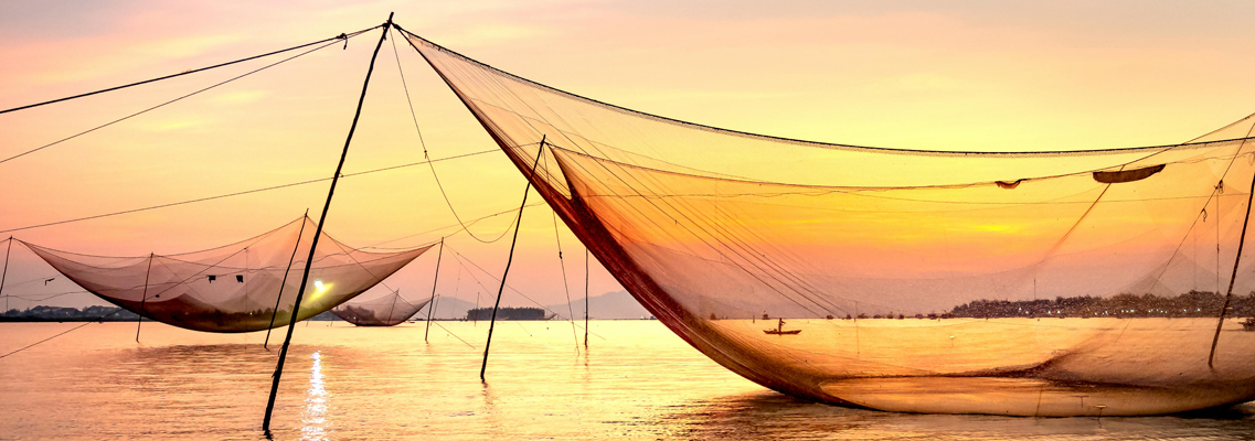 Kochi - Alappuzha /Kumarakam One Day Tour